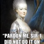 Marie-Antoinette-nin-olmeden-hemen-once-soyledigi-son-sozleri-affedersiniz-efendim-kasitli-olarak-yapmadim