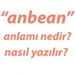 anbean-nedir-tdk-anlami-nedir-nasil-yazilir-an-be-an-tdk