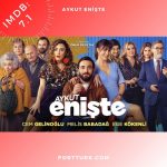 Aykut-Enişte-2019-IMDb-7-1-son-yillara-damga-vuran-turk-komedi-filmleri-en-iyileri